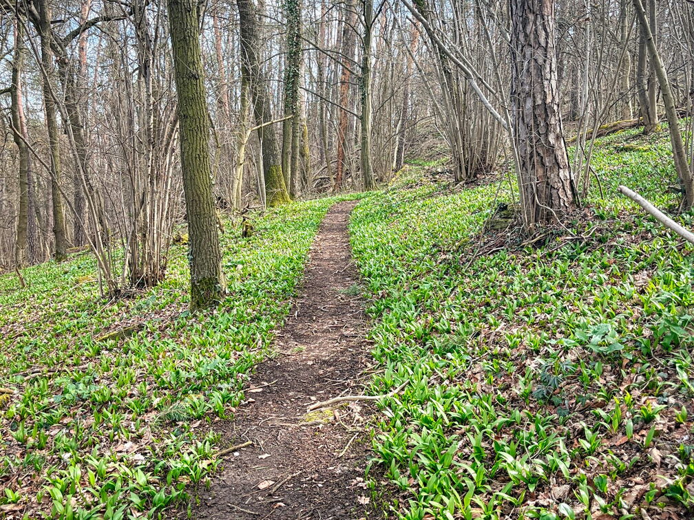 23-03-17 11-32-03 4891